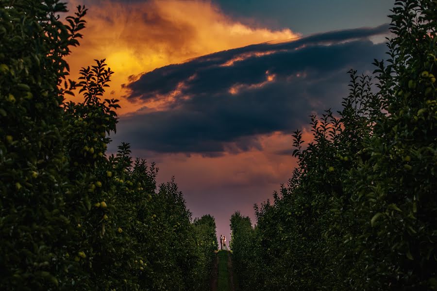 Vestuvių fotografas Maciek Januszewski (maciekjanuszews). Nuotrauka 2023 sausio 17