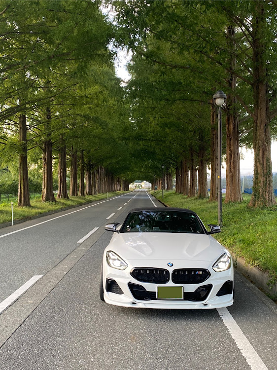 Z4 ロードスターの琵琶湖・あのベンチ・メタセコイア並木に関するカスタム事例の投稿画像3枚目