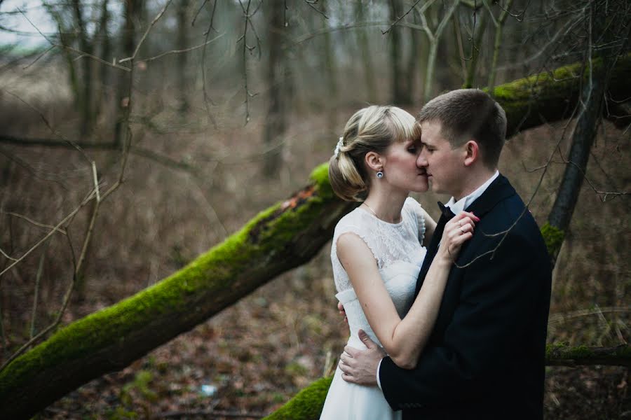 Wedding photographer Kaleriya Petrovskaya (lira192021). Photo of 6 December 2014