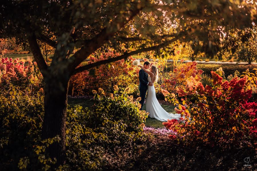 Wedding photographer Piotr Cuch (ulotne). Photo of 28 October 2020