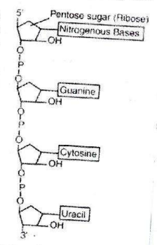 Solution Image