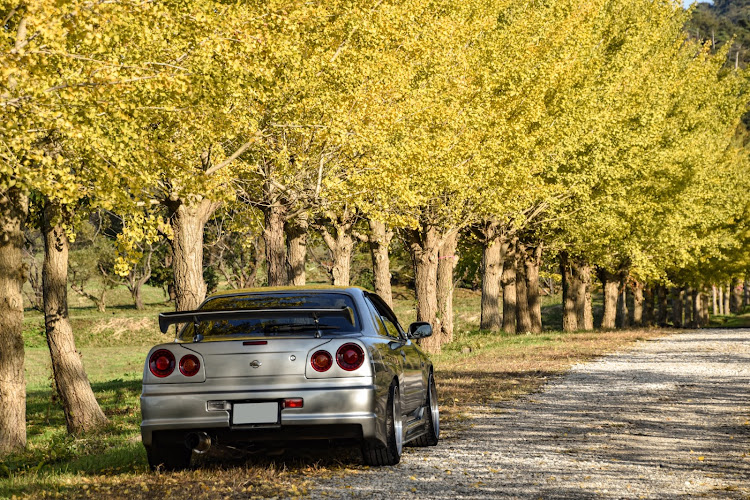 スカイラインの宝達志水町イチョウ並木・イチョウ並木・紅葉・紅葉と愛車に関するカスタム事例の投稿画像3枚目