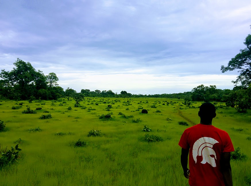 Senegal & Gambia - Blogs de Africa Oeste - Pais Bassari (8)