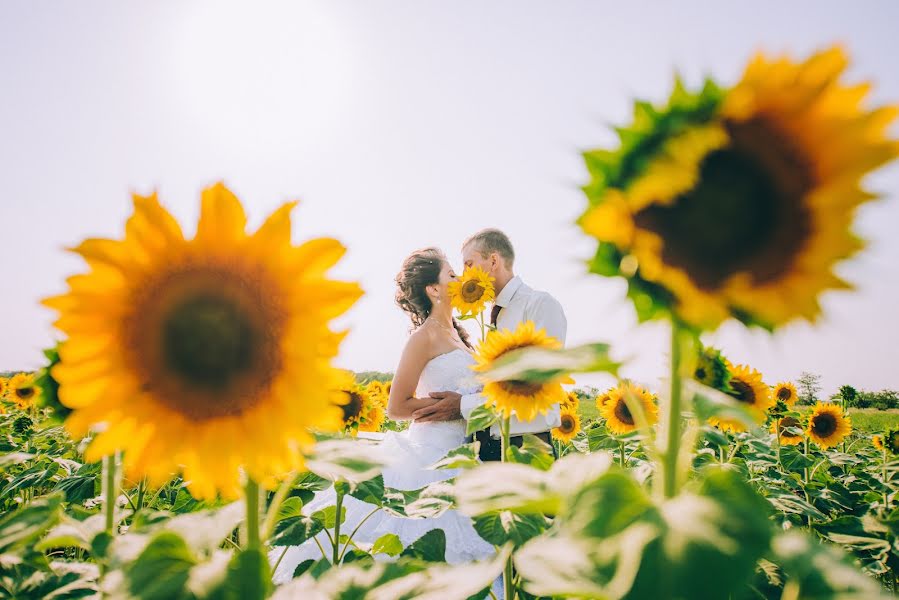 Photographe de mariage Aleksey Kryuchkov (ak13). Photo du 12 août 2015