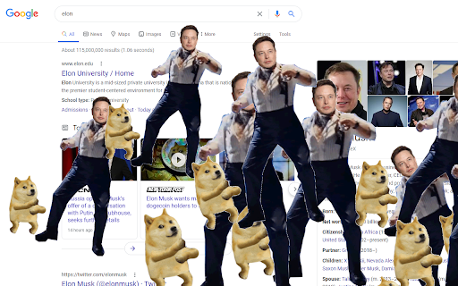Elon's Extension: Dogecoin Edition