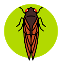 تحميل التطبيق Cicada Safari التثبيت أحدث APK تنزيل