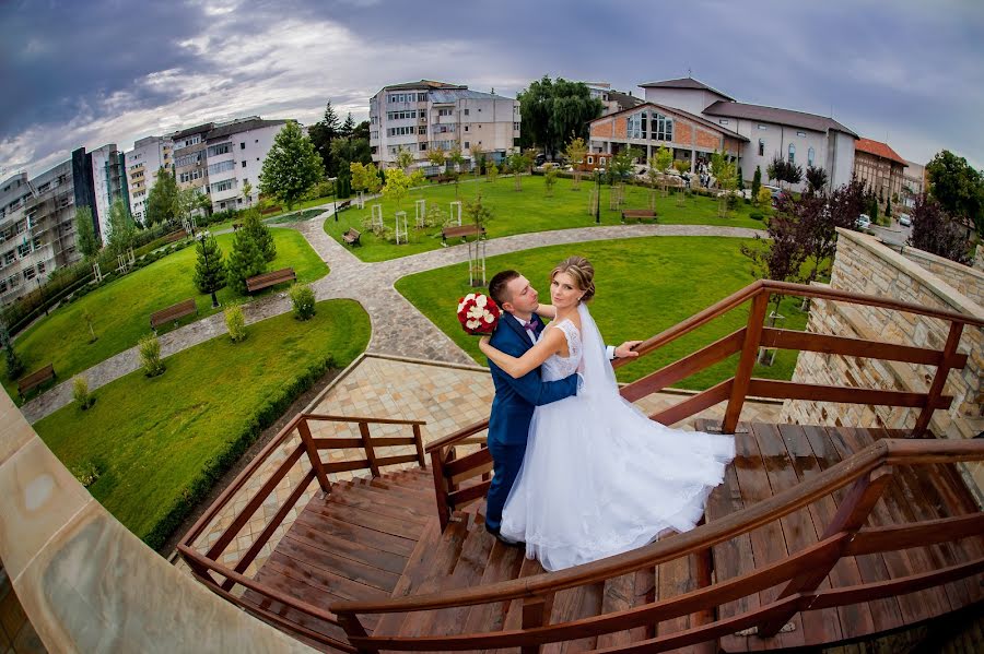 Wedding photographer Teodora Bisog (teodorabisog). Photo of 25 January 2016