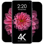 Cover Image of Descargar 4k wallpaper, HD wallpapers, HD backgrounds 1.0.2 APK