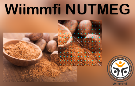 Wiimmfi NUTMEG Preview image 0