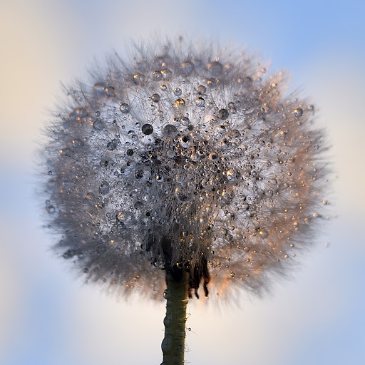 Al mattino di utente cancellato