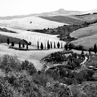 Teoria zonale (la scala dei grigi) di 