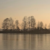 L'isola degli aironi di 