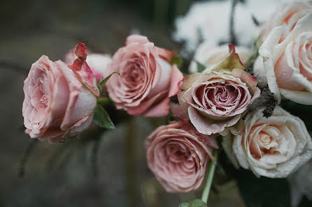 Photographe de mariage Tatyana Demchenko (demchenkot). Photo du 4 juillet 2018