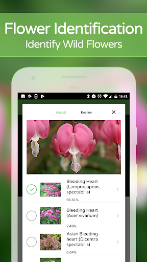 PlantSnap - Identify Plants, Flowers, Trees & More