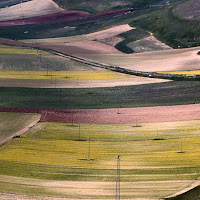 Fioritura al Pian grande di 