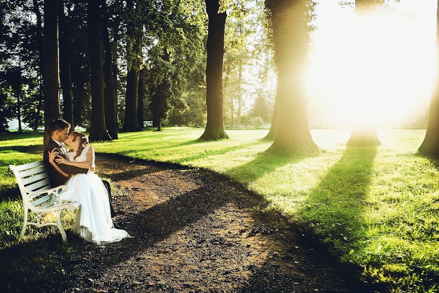 Fotógrafo de casamento Julia Tomasz Piechel (migafka). Foto de 29 de novembro 2016