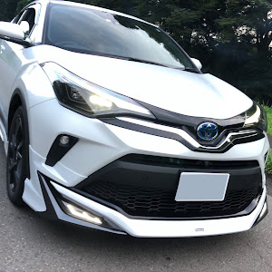 C-HR ZYX11