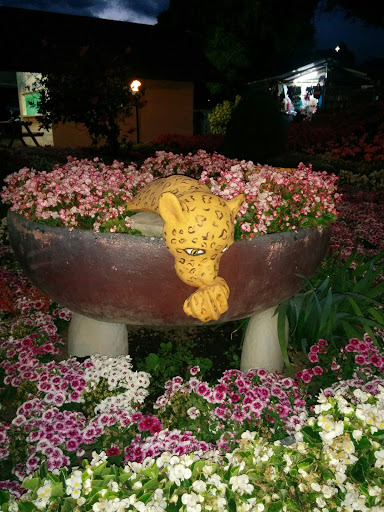 El Tigre En Las Flores