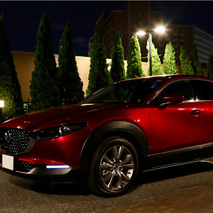 CX-30 DMEP