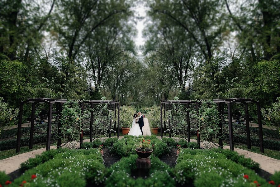 Wedding photographer Andrey Medvednikov (asmedvednikov). Photo of 11 February 2019