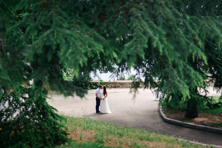 Wedding photographer Irina Balaevskaya (balaievskaya). Photo of 19 August 2015