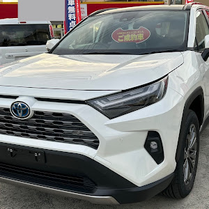 RAV4 AXAH52