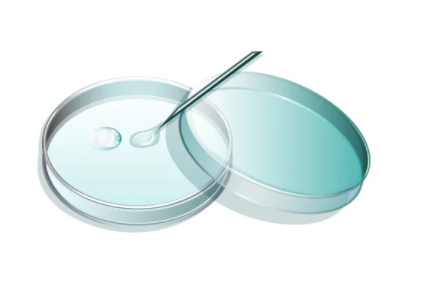 How To Increase Your Chances Of Having A Baby Through IVF?
