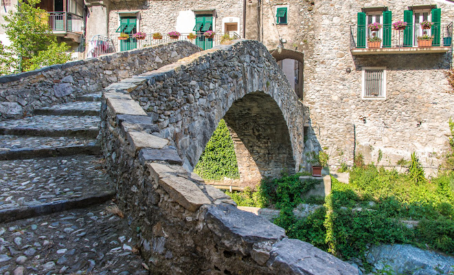 Zuccarello di Pino Cappellano