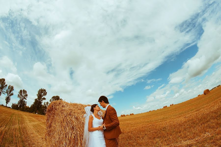 Wedding photographer Aleksandr Medvedev (medveds). Photo of 7 January 2014