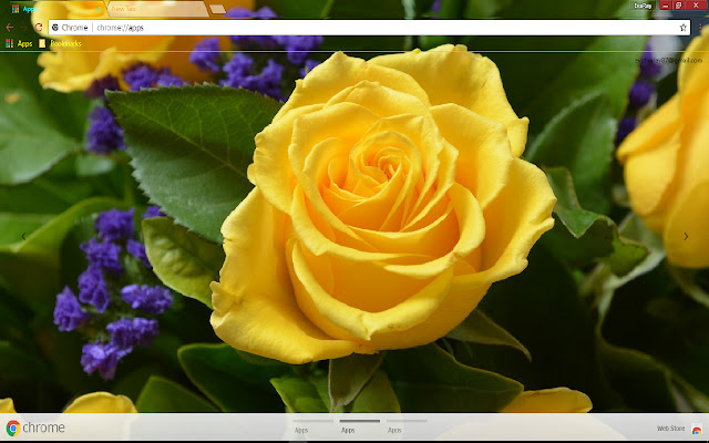 Spring Yellow Rose chrome extension