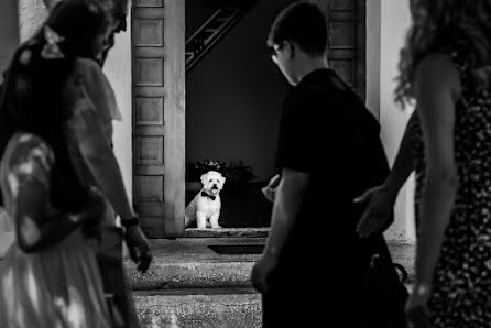 Fotografo di matrimoni Andrei Dumitrache (andreidumitrache). Foto del 15 ottobre 2021