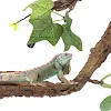 miniatures image - 1