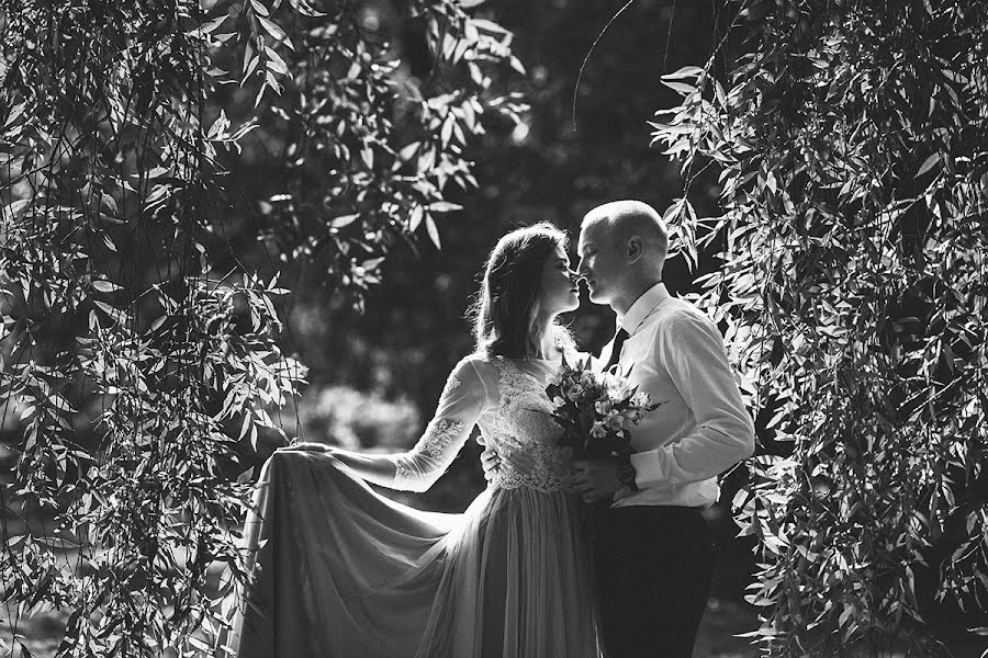 Bryllupsfotograf Alena Shpinatova (lenchik242). Bilde av 24 oktober 2018
