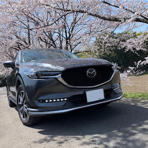 CX-5 KF系