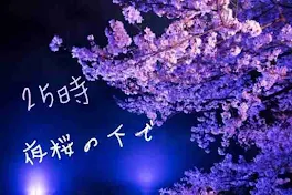 25時  夜桜の下で