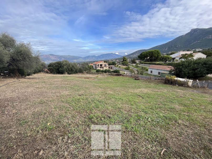 Vente terrain  1316 m² à Bastelicaccia (20129), 295 000 €