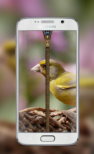 免費下載個人化APP|Cute Bird Zipper Lock Screen app開箱文|APP開箱王