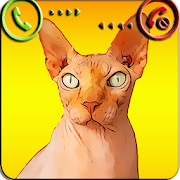 Fake Call Cat Prank  Icon