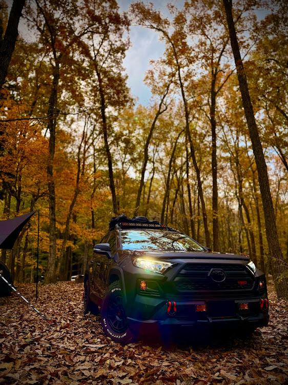 RAV4のキャンプ・紅葉・メタセコイア並木に関するカスタム事例の投稿画像1枚目