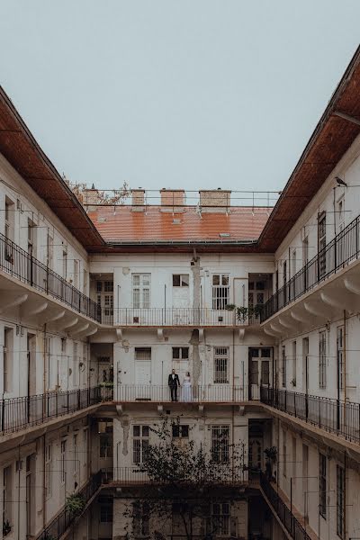 Fotografo di matrimoni Barbara Duchalska (barbaraduchalska). Foto del 22 dicembre 2023