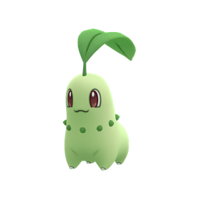 Chikorita