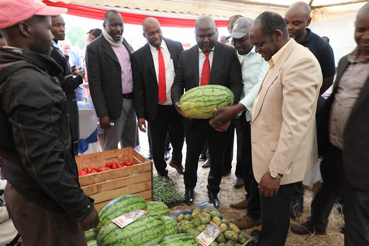 Kitui deputy governor Augustine Kanani holds a giant watermelon fruit during the Thursday USAID inaugural Kitui County resilience knowledge fair at Ithookwe grounds.