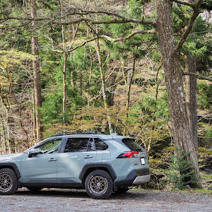 RAV4 MXAA54