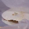 miniatures image - 0