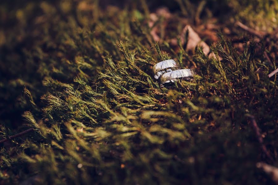 Fotografo di matrimoni Svetlana Cheberkus (cheberkuss). Foto del 29 giugno 2015