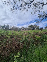 terrain à Crozon (29)