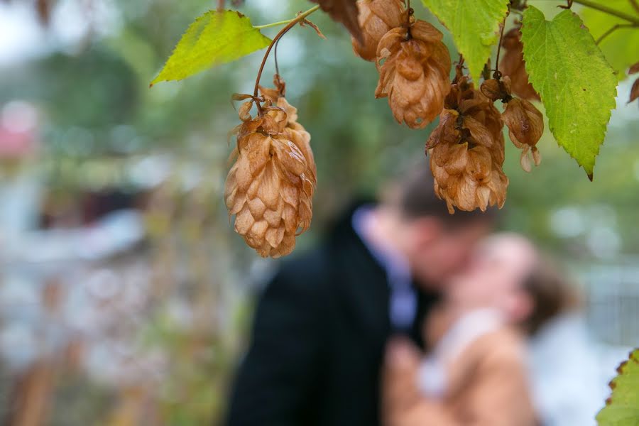 Wedding photographer Sofiya Konstantinova (sophiya). Photo of 9 November 2015