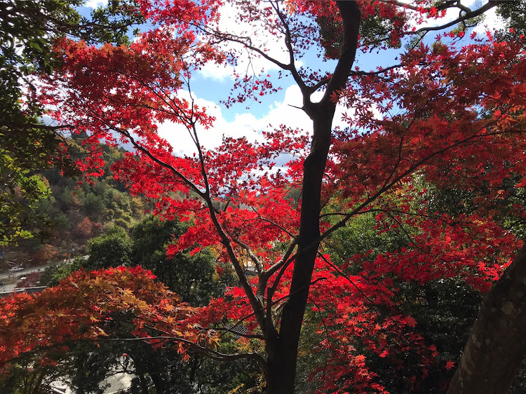 の投稿画像22枚目