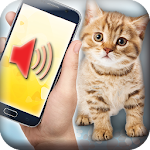 Cat translator simulator Apk