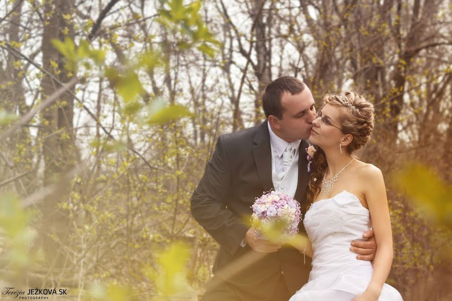 Wedding photographer Terézia Ježková (jezkovaterezia). Photo of 16 April 2019